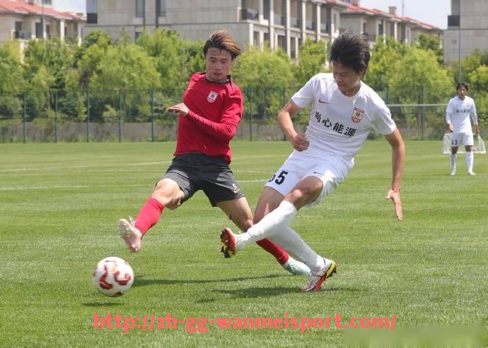 完美体育app-英超球员个人进球数统计榜：谁是效率王？