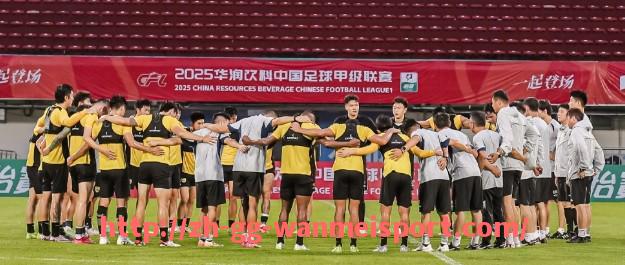 完美体育app-世俱杯比赛中球员关键突破次数统计与战术价值探讨