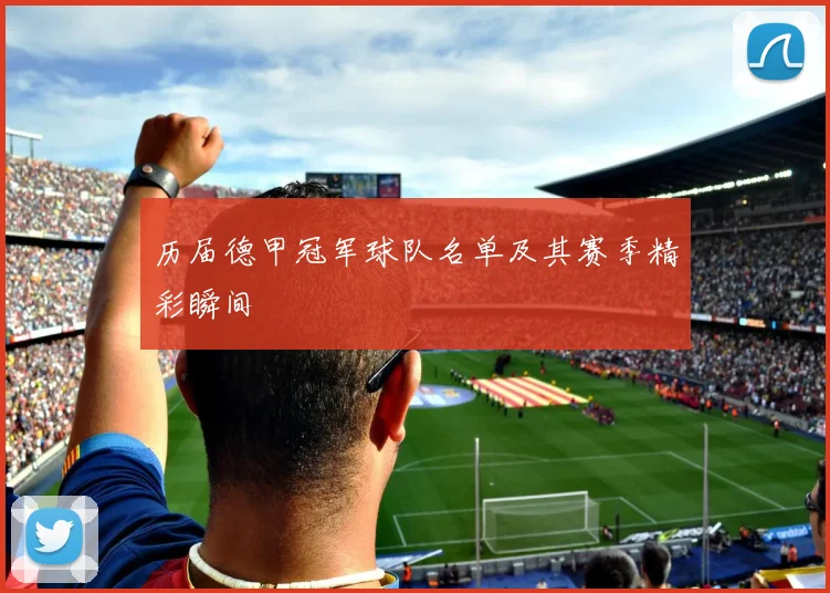 历届德甲冠军球队名单及其赛季精彩瞬间