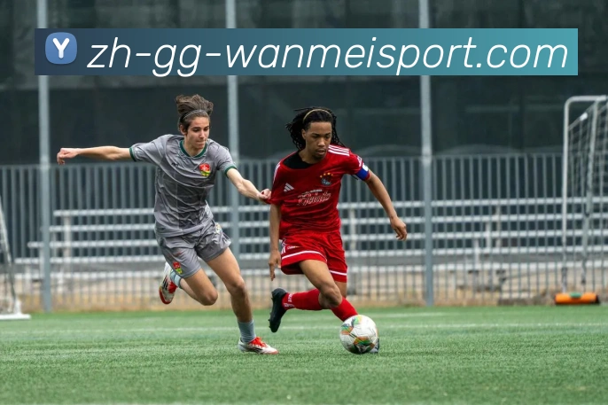 完美体育品牌故事