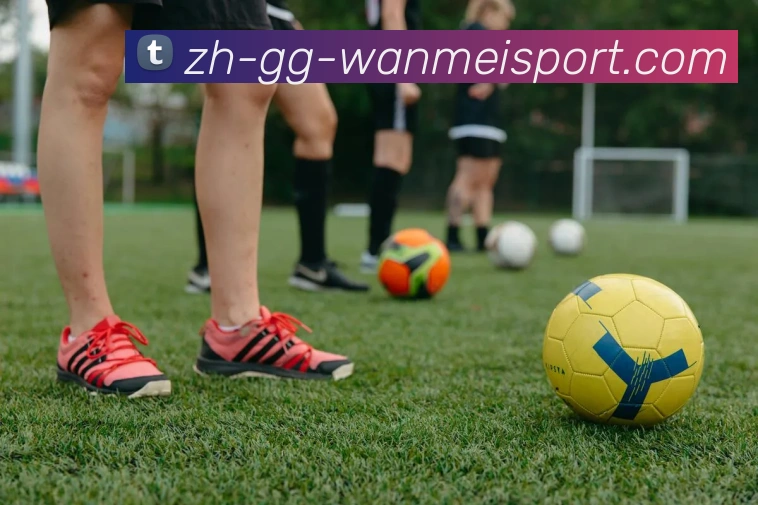 完美体育服务体系